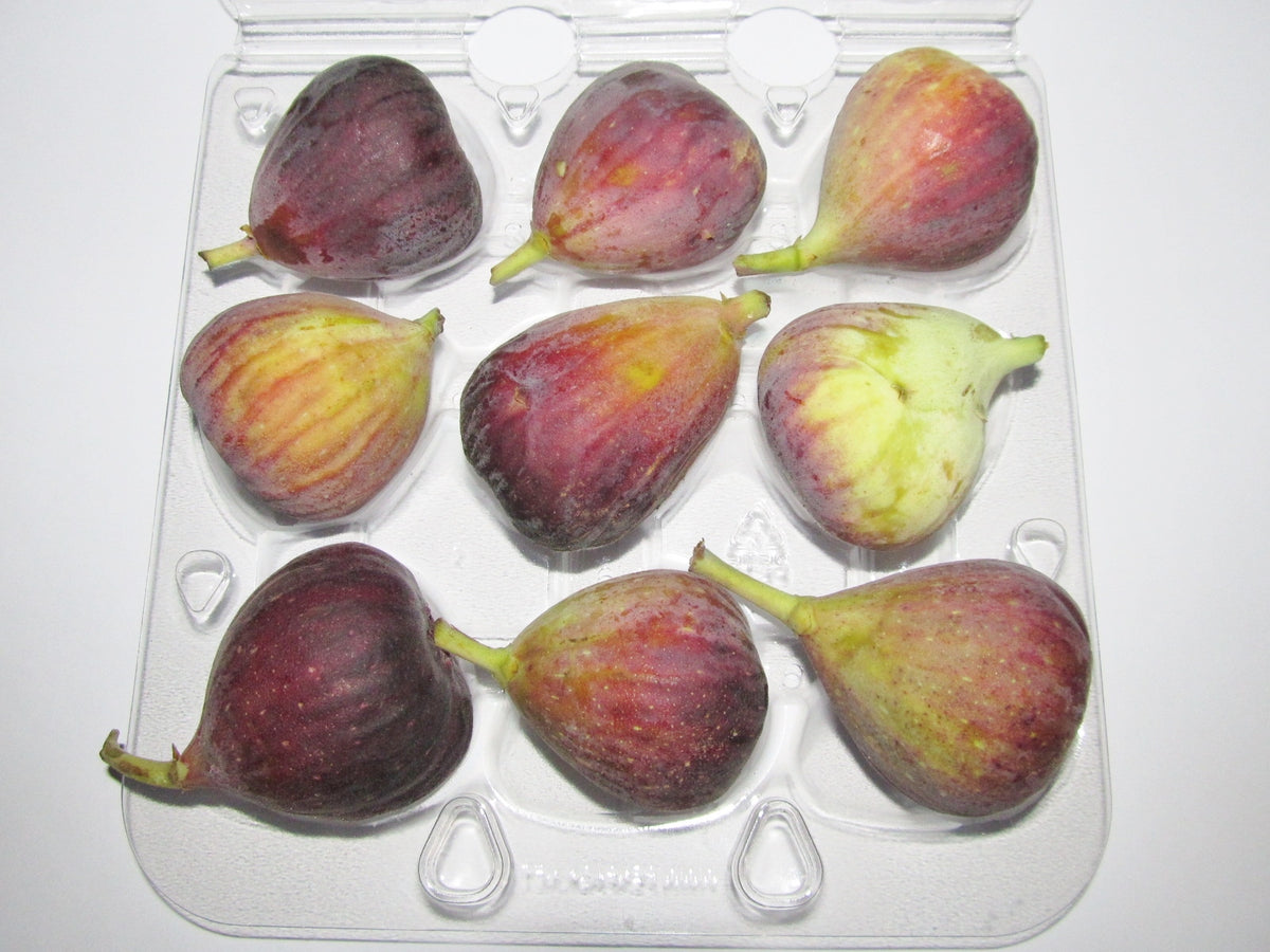 Black Mission fig fruit